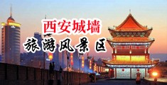 美女脱光衣服让男人操爽18网站中国陕西-西安城墙旅游风景区